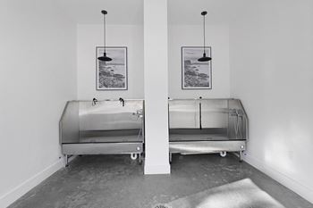 Pet Care at Terraces at High Mountain, Huntsville, Alabama